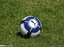 激情对决,独家揭秘,篮网对决快,博鱼体育,博鱼体育官方,博鱼体育登录,博鱼体育入口,博鱼体育登录