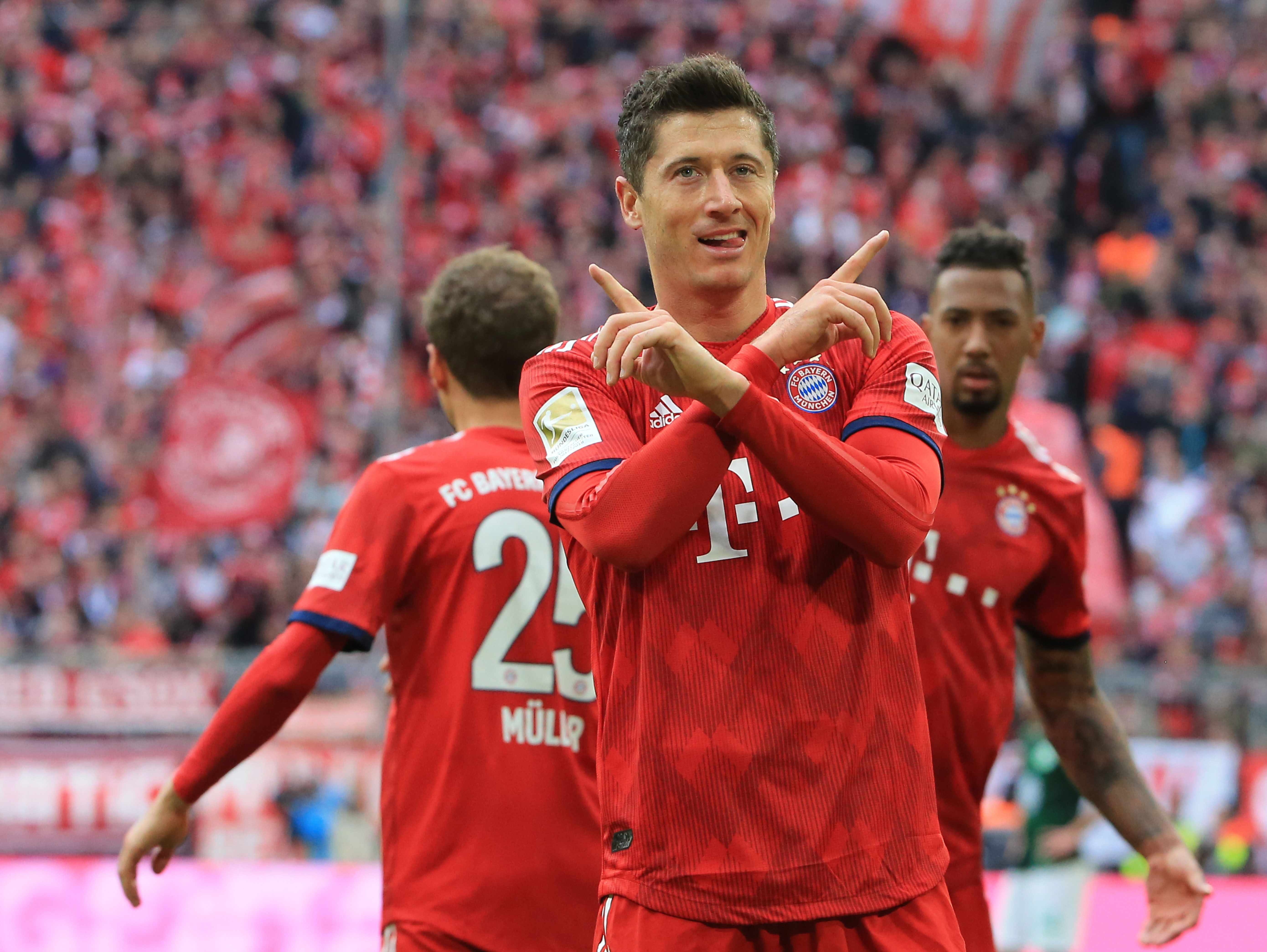 赛季的国内 赛季的国内